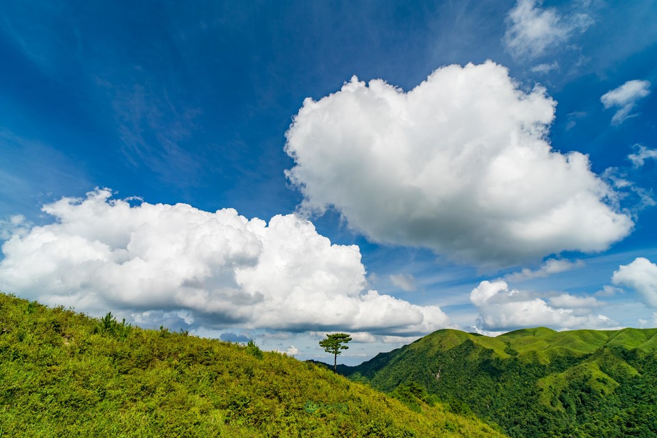 06b94b81109d0f98f8ce0a3cba8a6c2