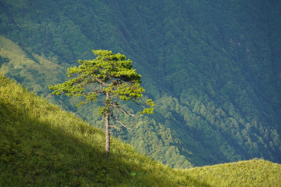 051b1959d19c92b94d94b1cc20a20a4