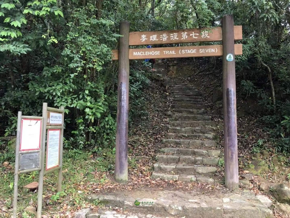 1ca1add4fd46e8a9717467ad374ebea