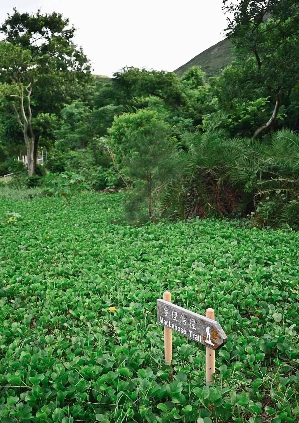 5c199f938c9c9b058b1687ec5cd4bbe