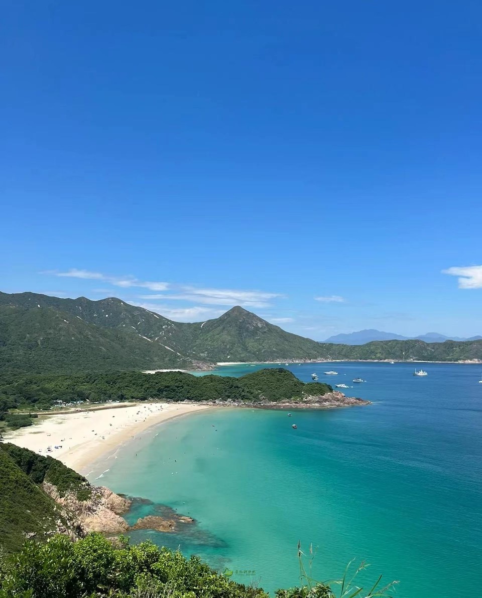 156a783887a65787c4c3f7f918fdb51