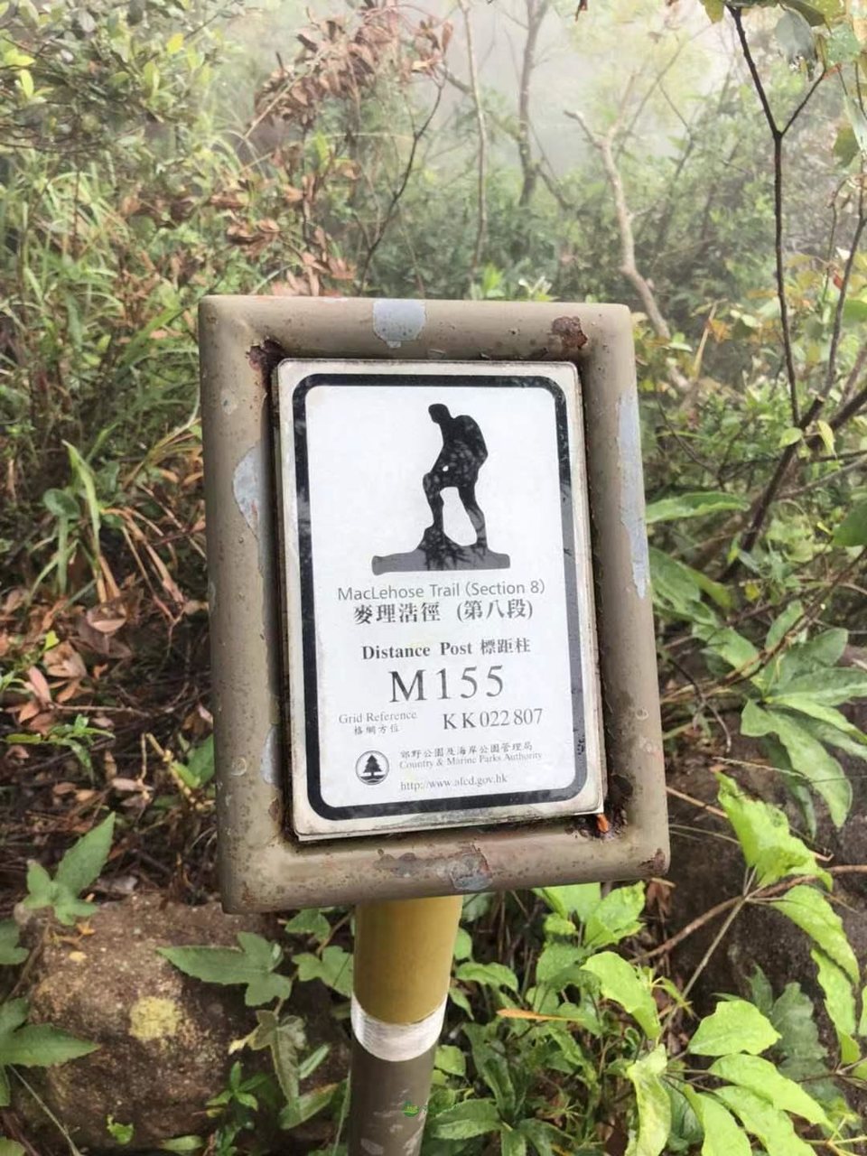 4478721969a74d7ac057c4a8355b638