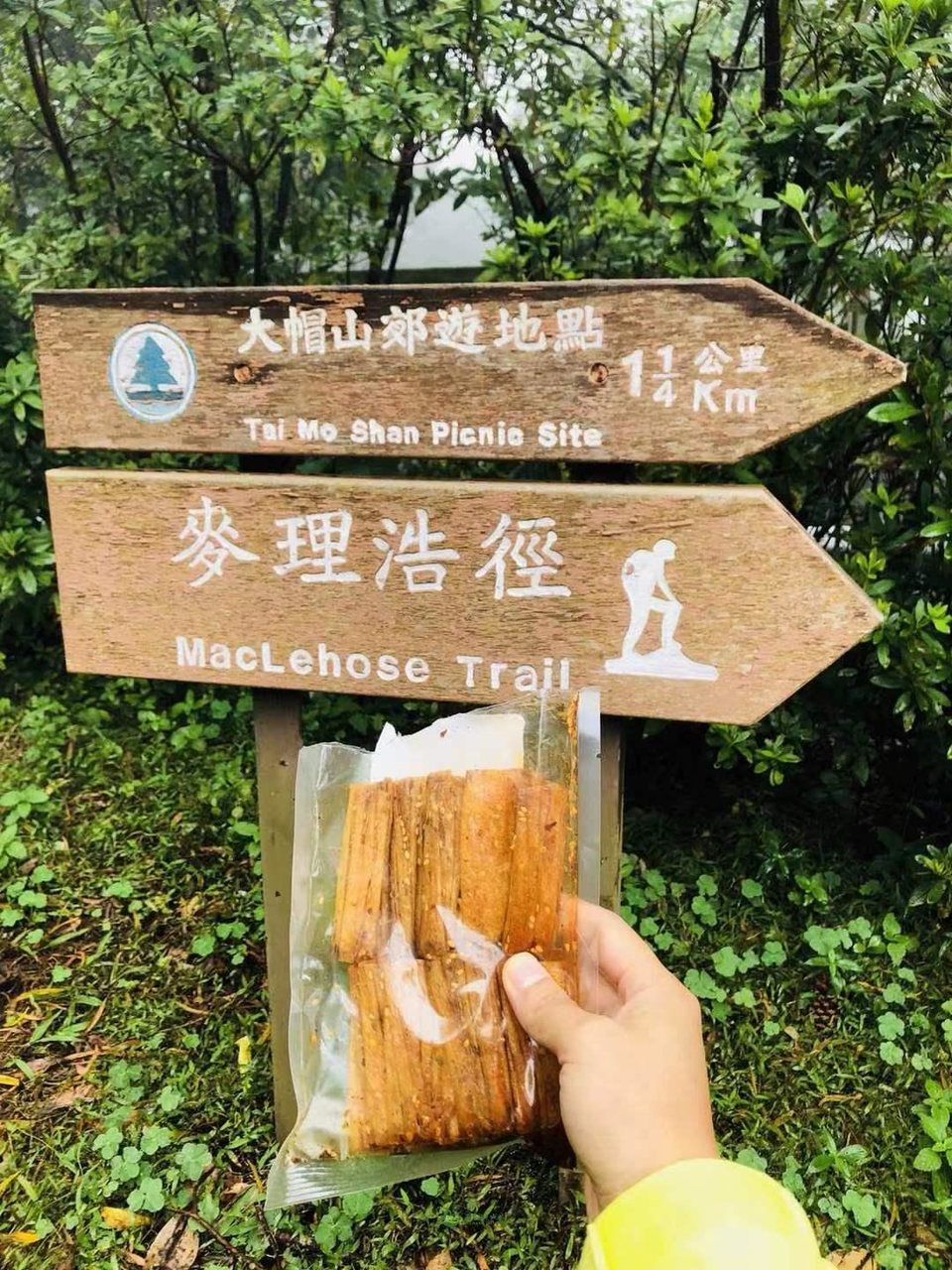 a7f0760c6e41842c2f866aa0aeacd49