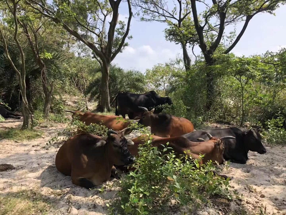 eda32f9cf0cd544fd015e7ab4e72b07