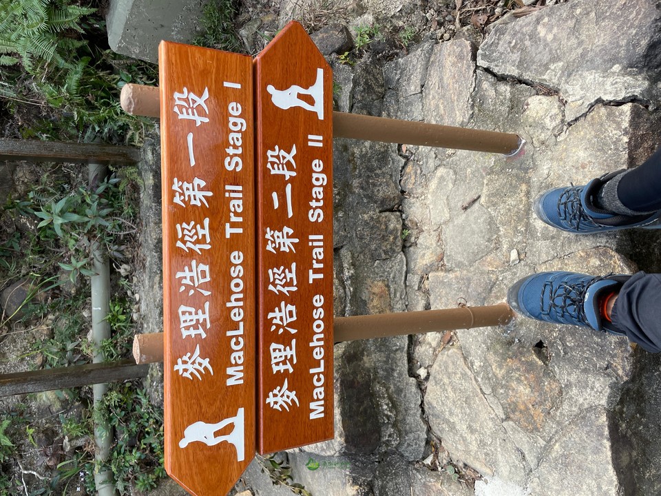 6b228bb696543afa743b6520c226ca3