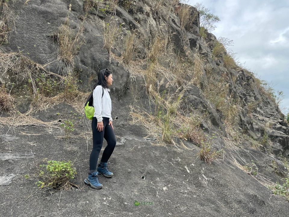 bb6e7352b09614297d4fb1af8150e6a