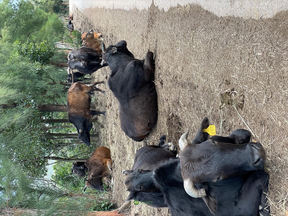 da590d46492ebc3d7eeb50b4c8c75ef