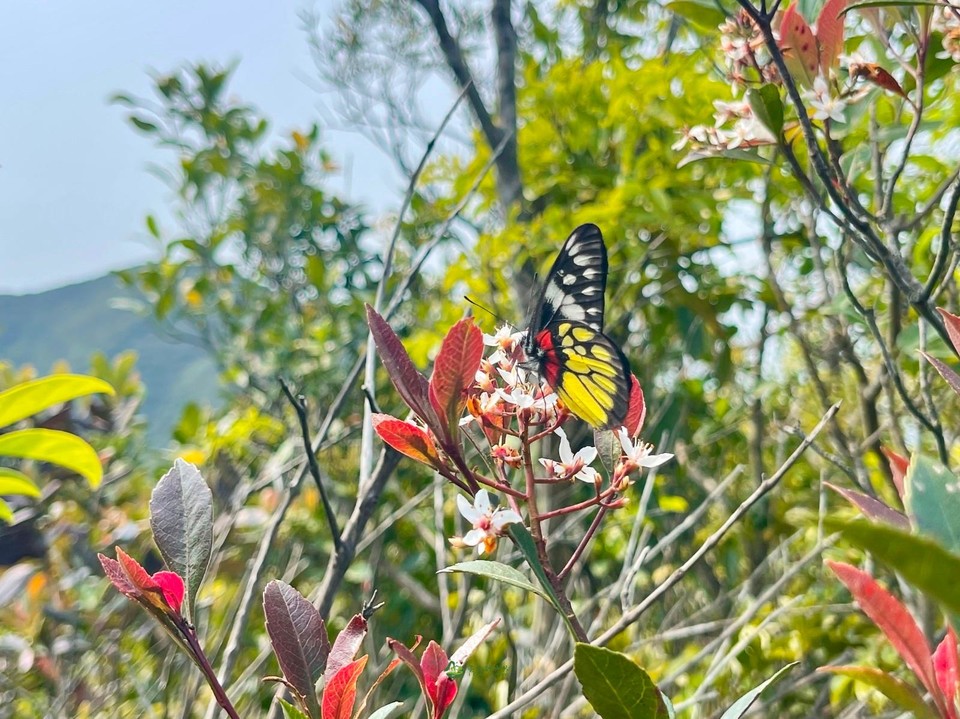 mmexport1678677578651