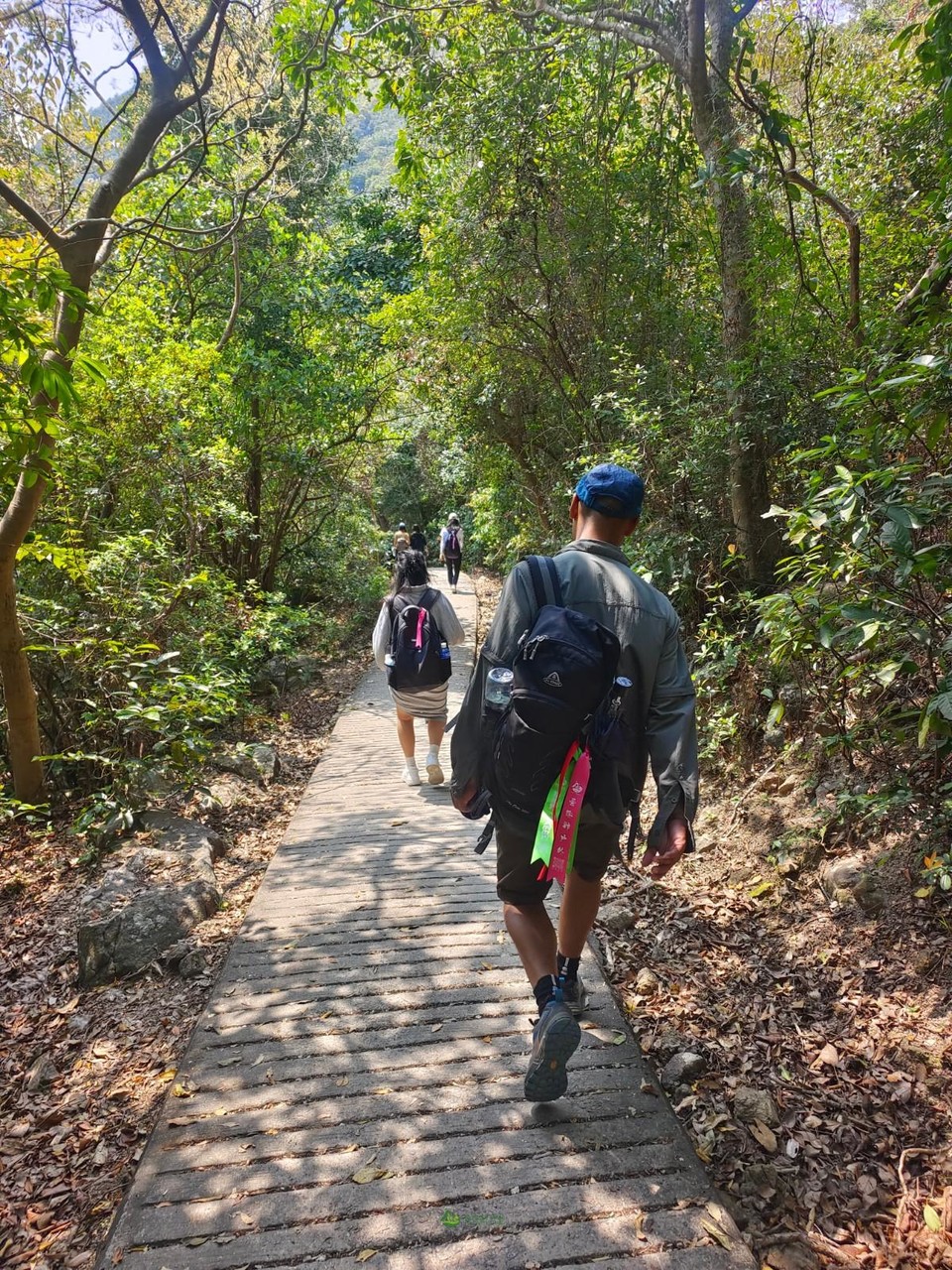 mmexport1678678372216