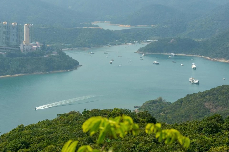 mmexport1678680236442