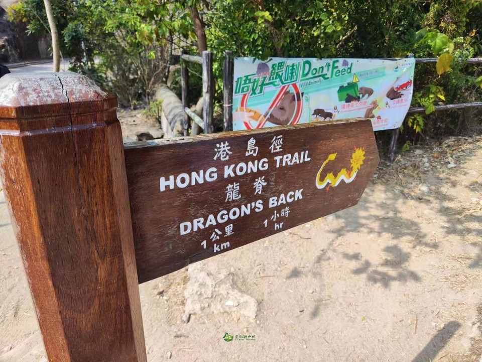 mmexport1678680224329