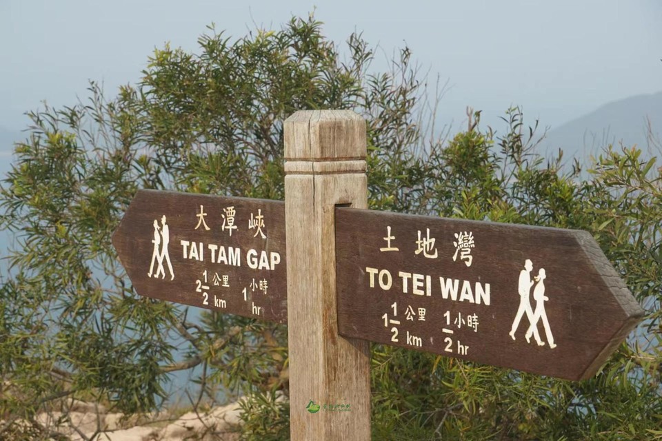 mmexport1678680228666