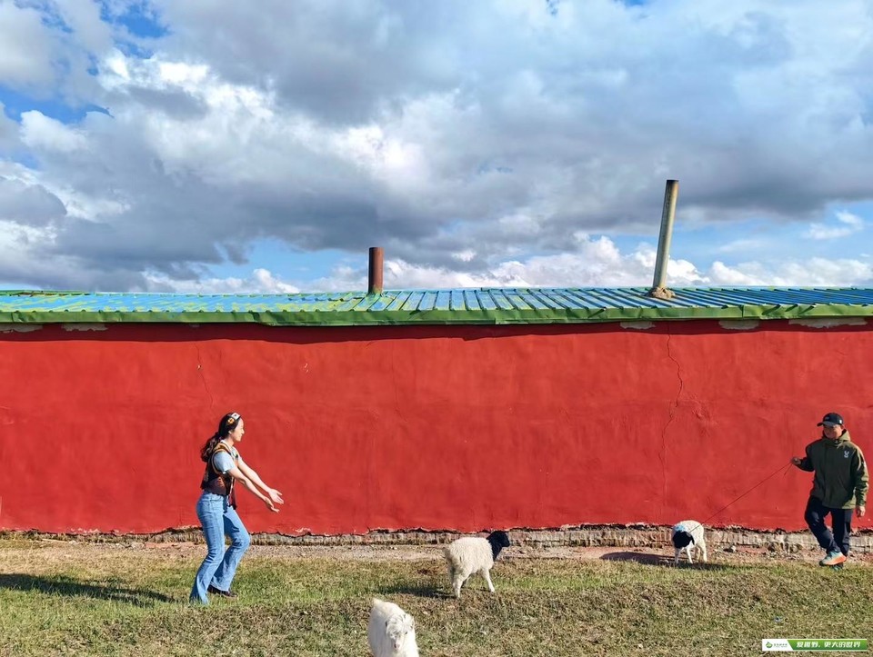 mmexport1686061927904