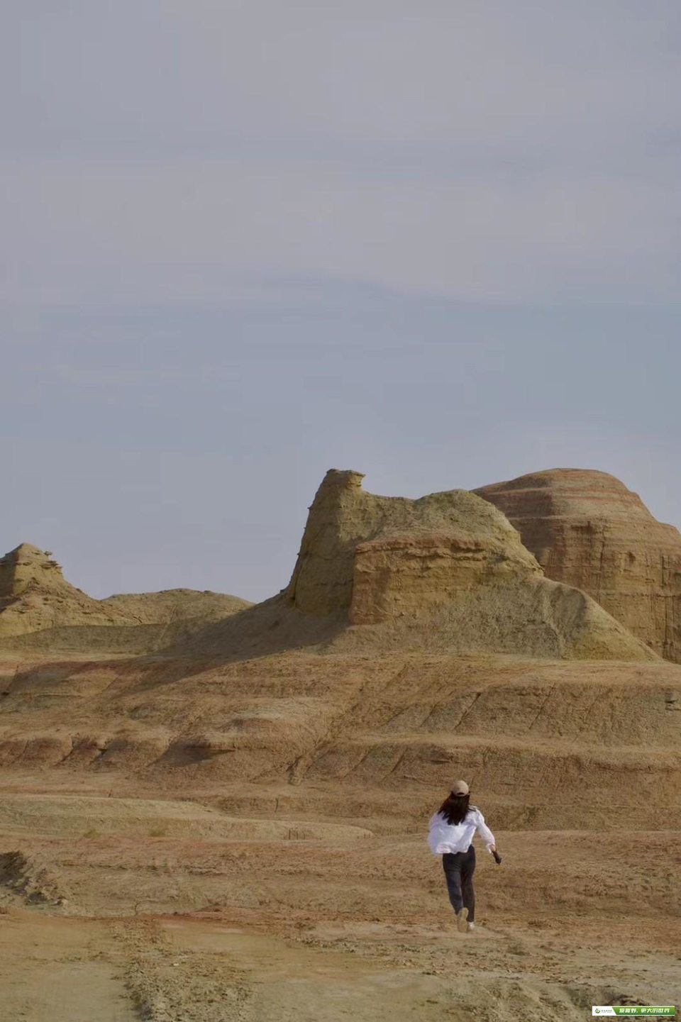 mmexport1685954231310