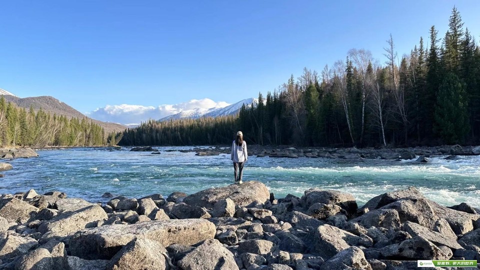 mmexport1685954237241