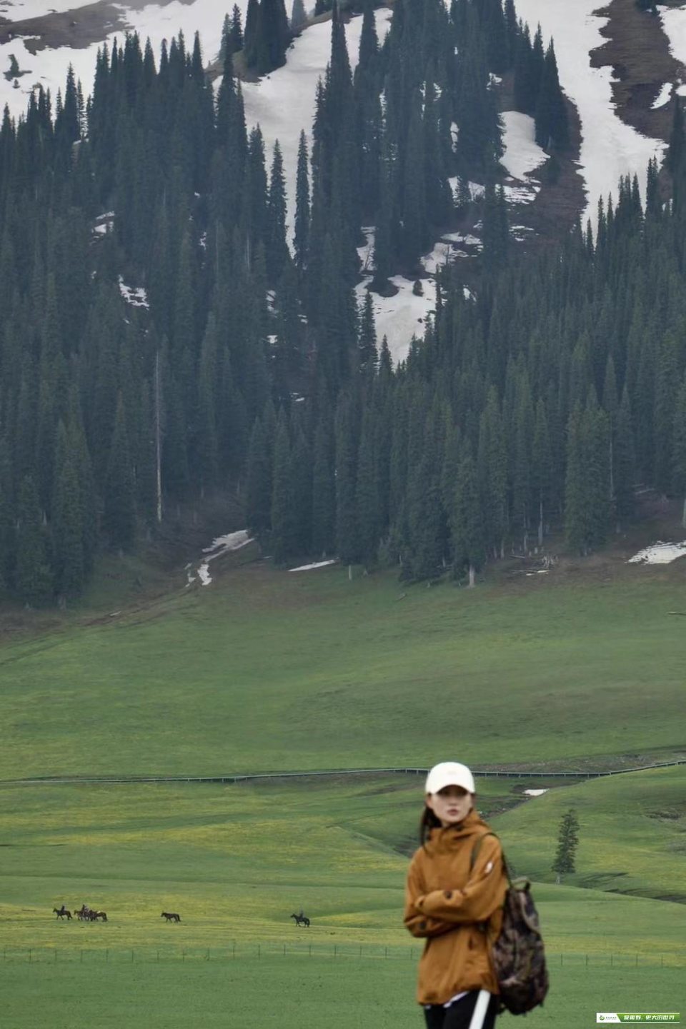 mmexport1685954242464