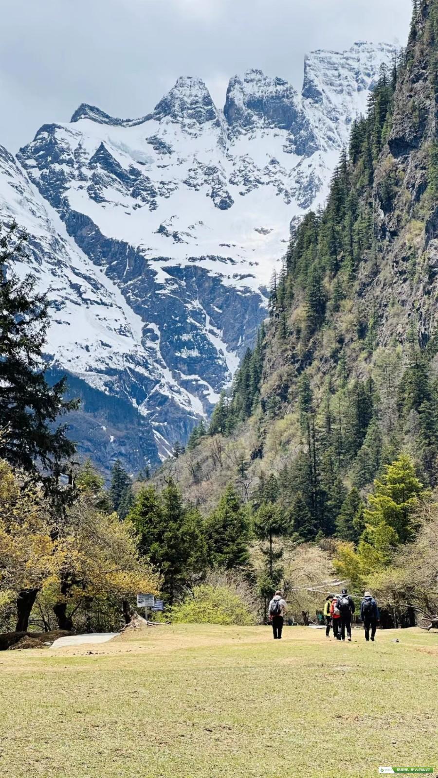 mmexport1685930456933