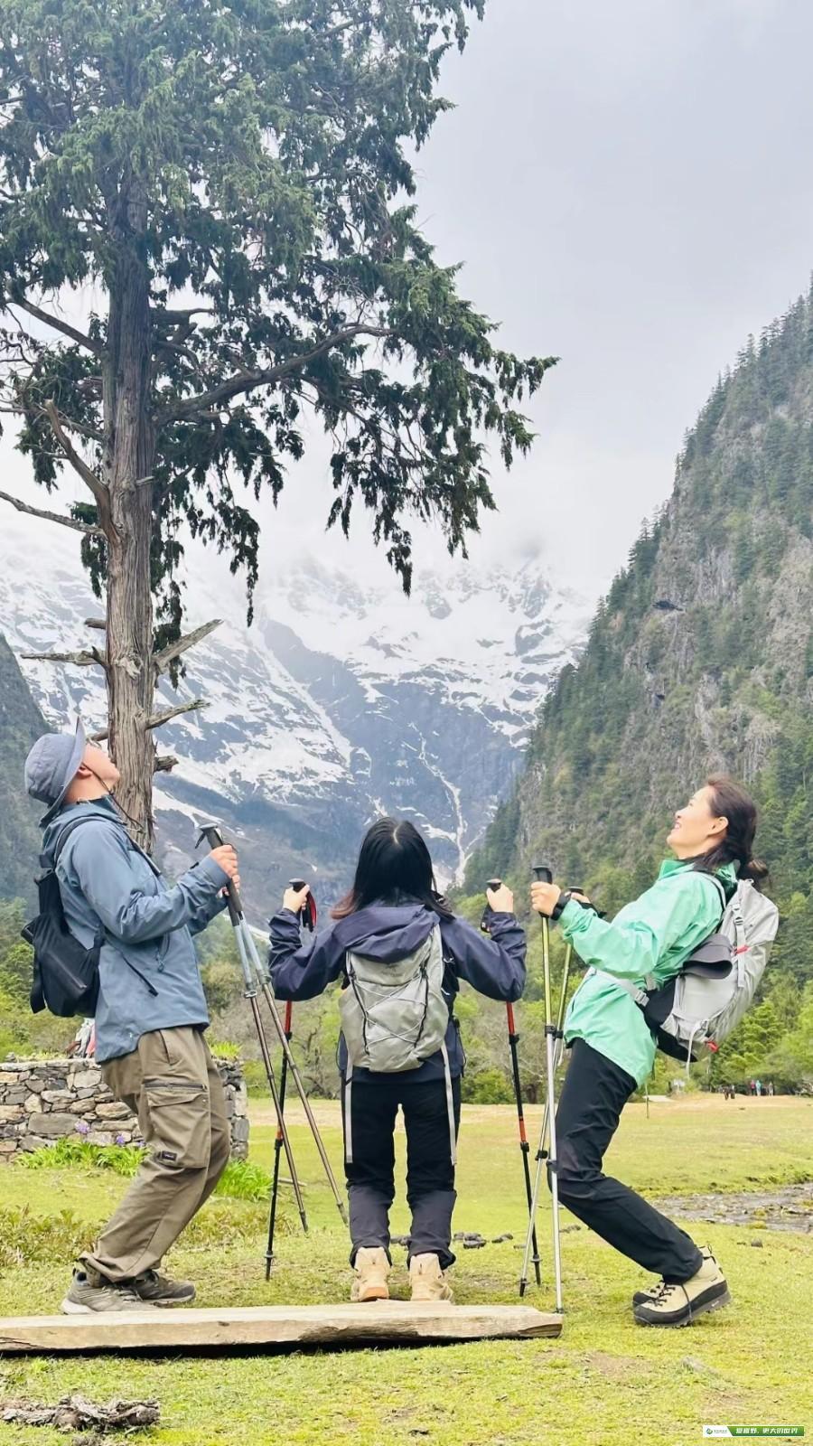 mmexport1685930447197