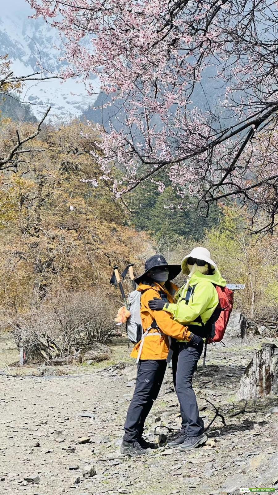 mmexport1685930431654