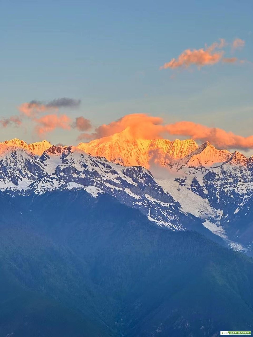 mmexport1685930413238