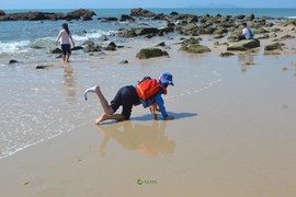 55F4751E-8185-439D-AE30-FEAE3F99911C