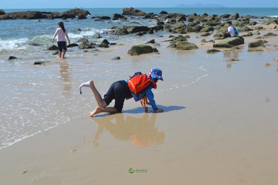 55F4751E-8185-439D-AE30-FEAE3F99911C