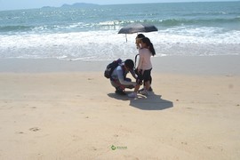 95CFA93A-4752-4061-A233-F8D72DD34D3A