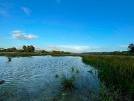 85209888-20EB-495B-A327-0518480B1494