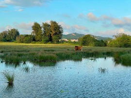 AFD5A9A7-627D-4368-AE34-BF2968B6C6EB