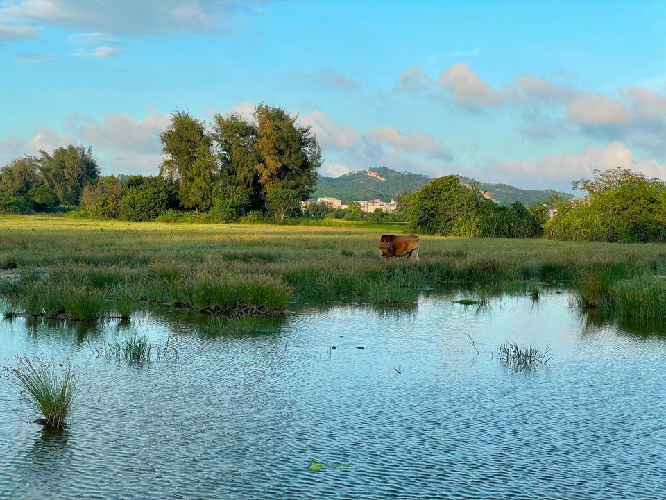 AFD5A9A7-627D-4368-AE34-BF2968B6C6EB