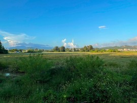 C33BD42C-0787-4466-B15D-1E0E0D884E16