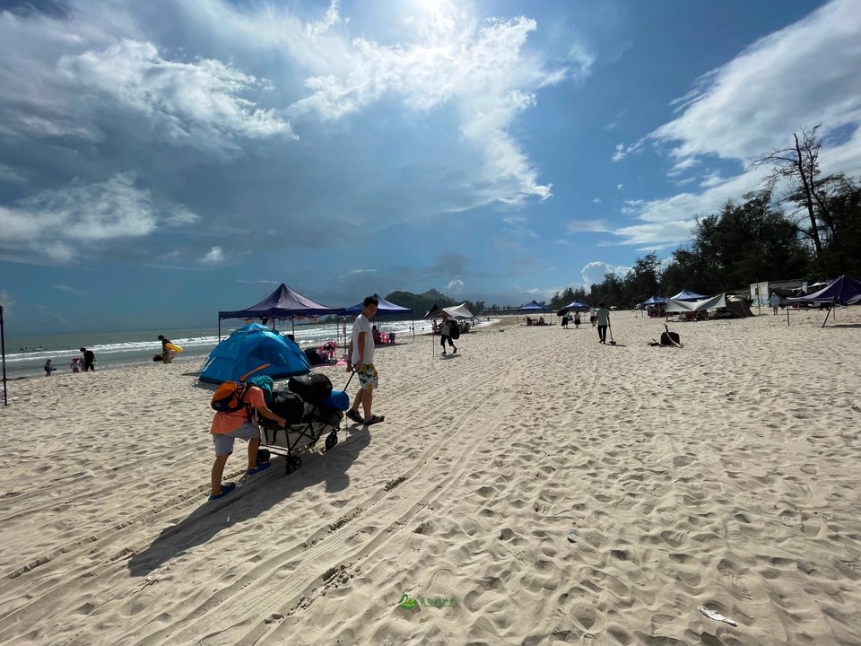 CADDBD41-ECB8-44E6-8B66-DF9E5D2EFE3A