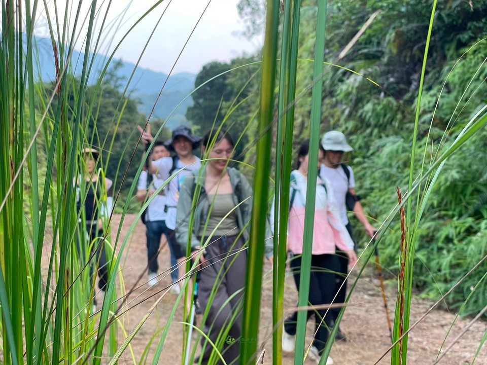 D7937651-689E-43A4-BA0E-E86402553BD4