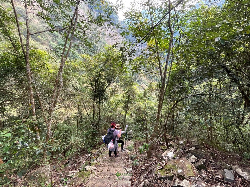 BCC35B0C-28A1-4F49-8637-8E16544C09CC