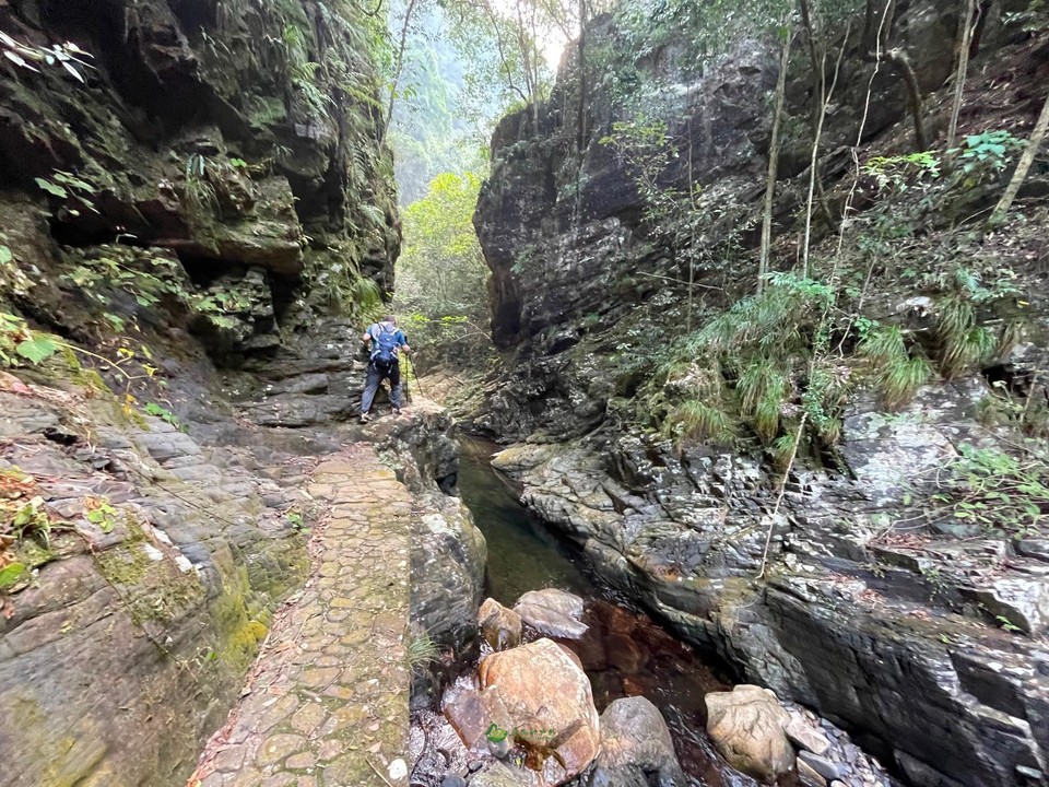 7CB4A782-B39C-445A-B6BD-248D5B407C0E