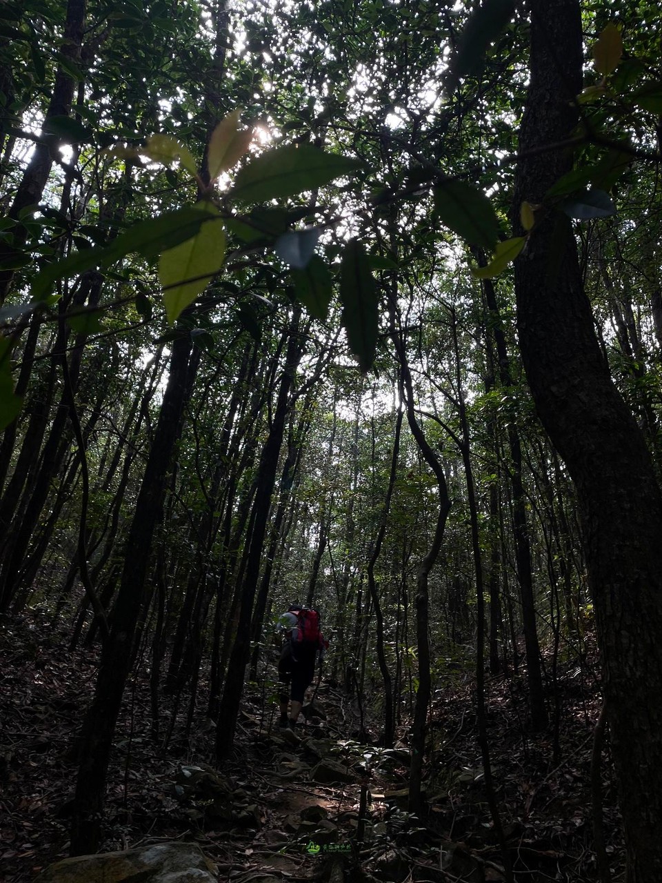 D65F4CD9-89F8-4DF0-8BC9-F3BE1A0403A0