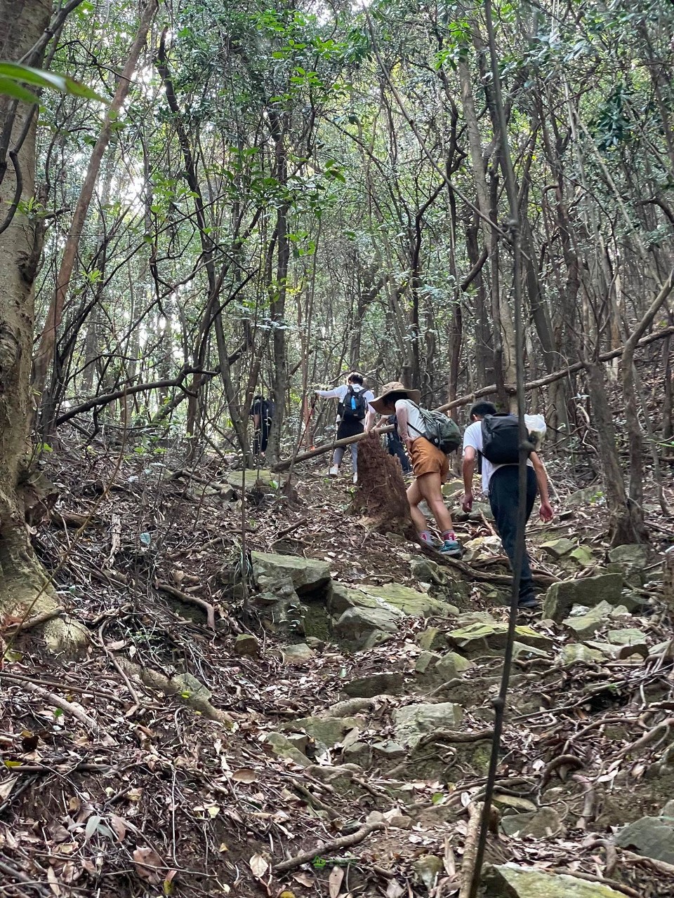 047F2773-3A08-4D7A-9DE9-54DB6C8B364B