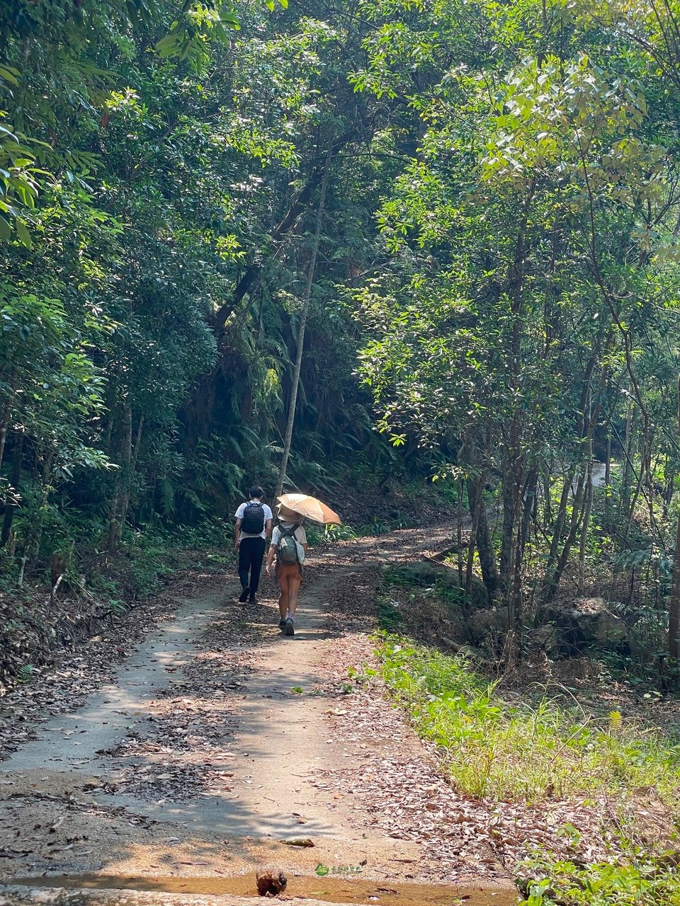 F4F289BC-E223-4F0B-8AE9-FEC5D00F06FE