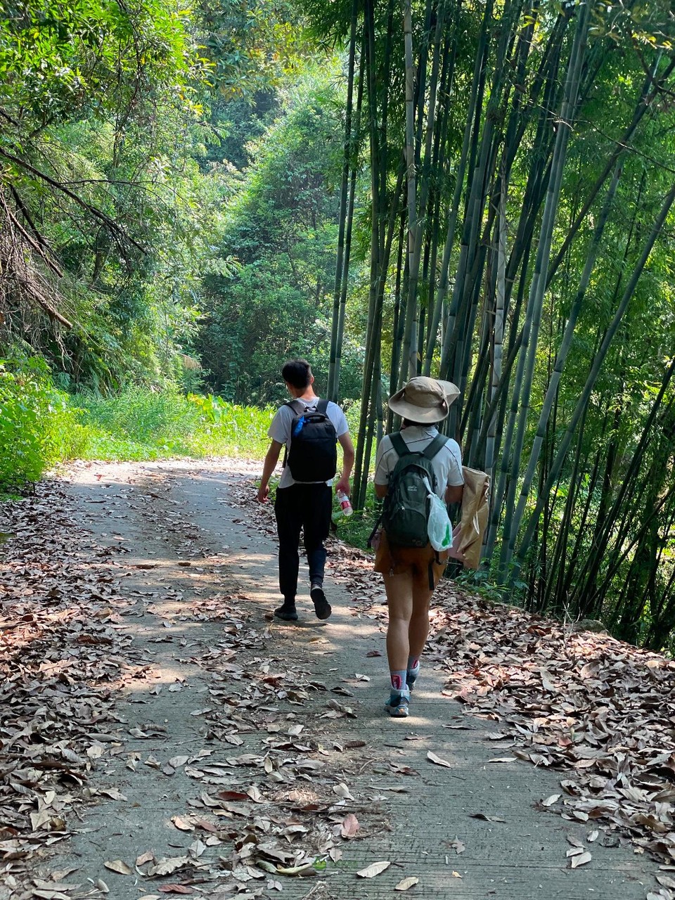 37D43444-8063-4D0C-8629-1528C2F70EF0