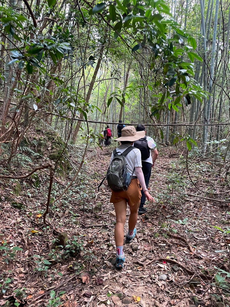 9CF233B3-1A21-4864-98AB-8BDC56DD3EE8