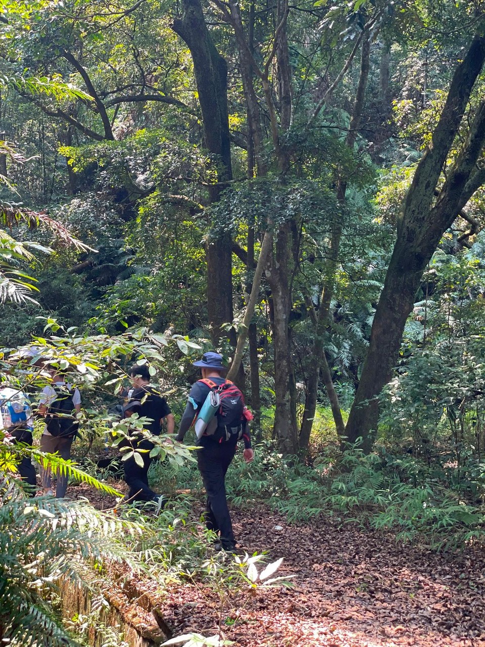 B6B7297A-34A6-411A-8A0F-324180AB76D6