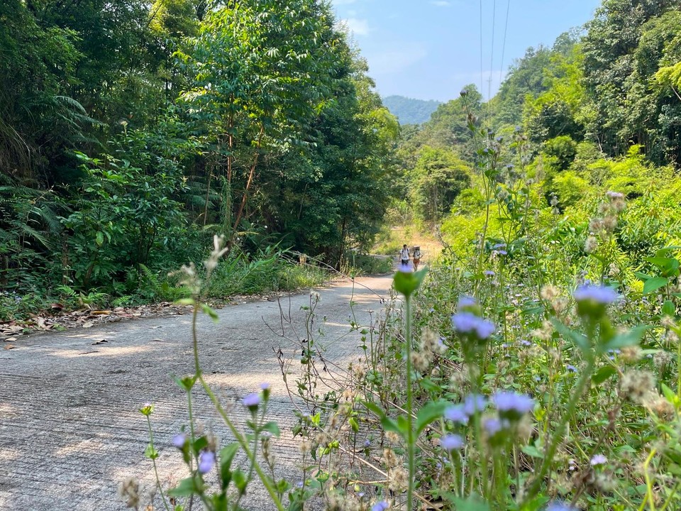 EB37A7CF-838C-4580-AF08-B19956B36595