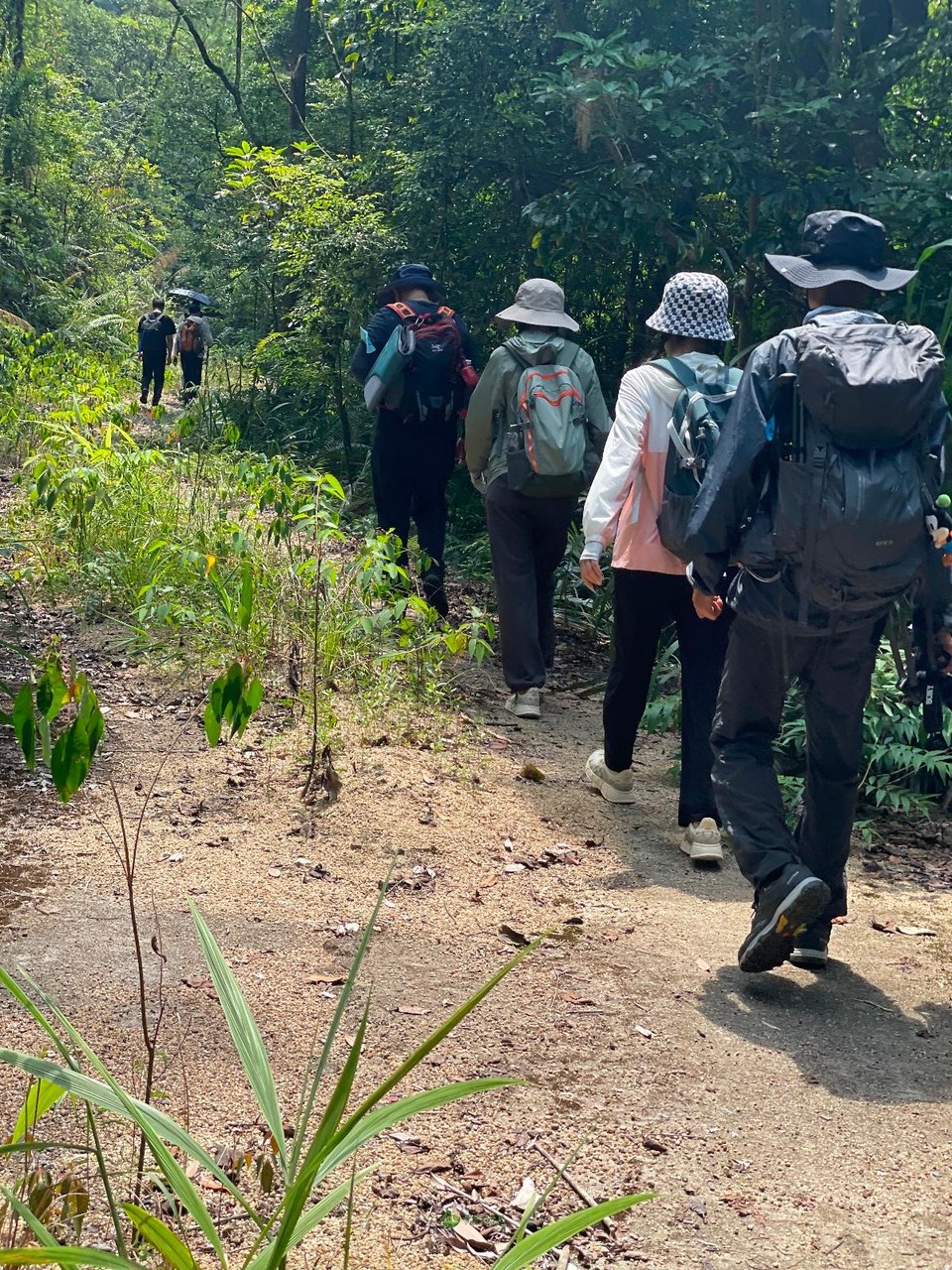 A8ACF6C8-A87B-4200-8B92-6ACE87E35492