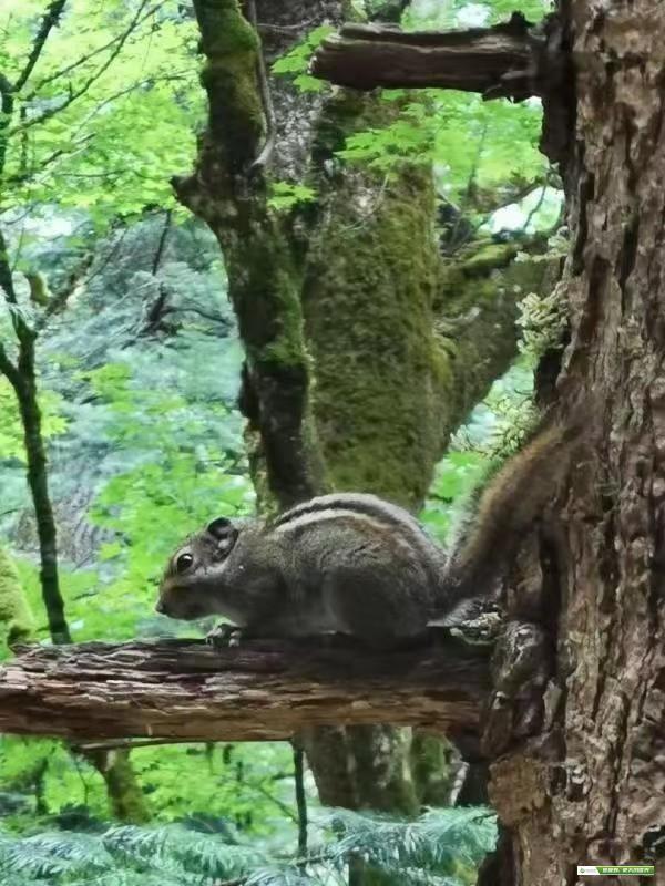 mmexport1691919630914