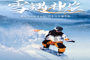 【雪遇神农】神农架4天3晚轻奢滑雪VIP小团：邂逅雪国秘境森林+打卡大九湖冬韵