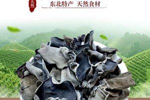 野生木耳-东北特产