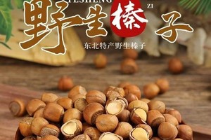 野生榛子-东北特产