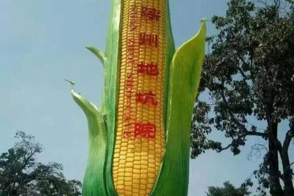 1月4-5日（周六日）三门峡地坑院 +黄河第一坝+天鹅湖纯玩休闲二日游