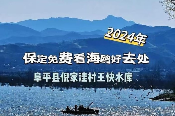 【群福利特价】12月22/25日（周日）保定倪家洼洱海观海鸥+军事小镇+晋察冀革命纪念馆纯玩休闲一日游