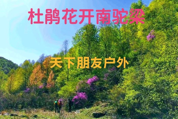 5月8日/周四 山西跑泉厂赏杜鹃一日游
